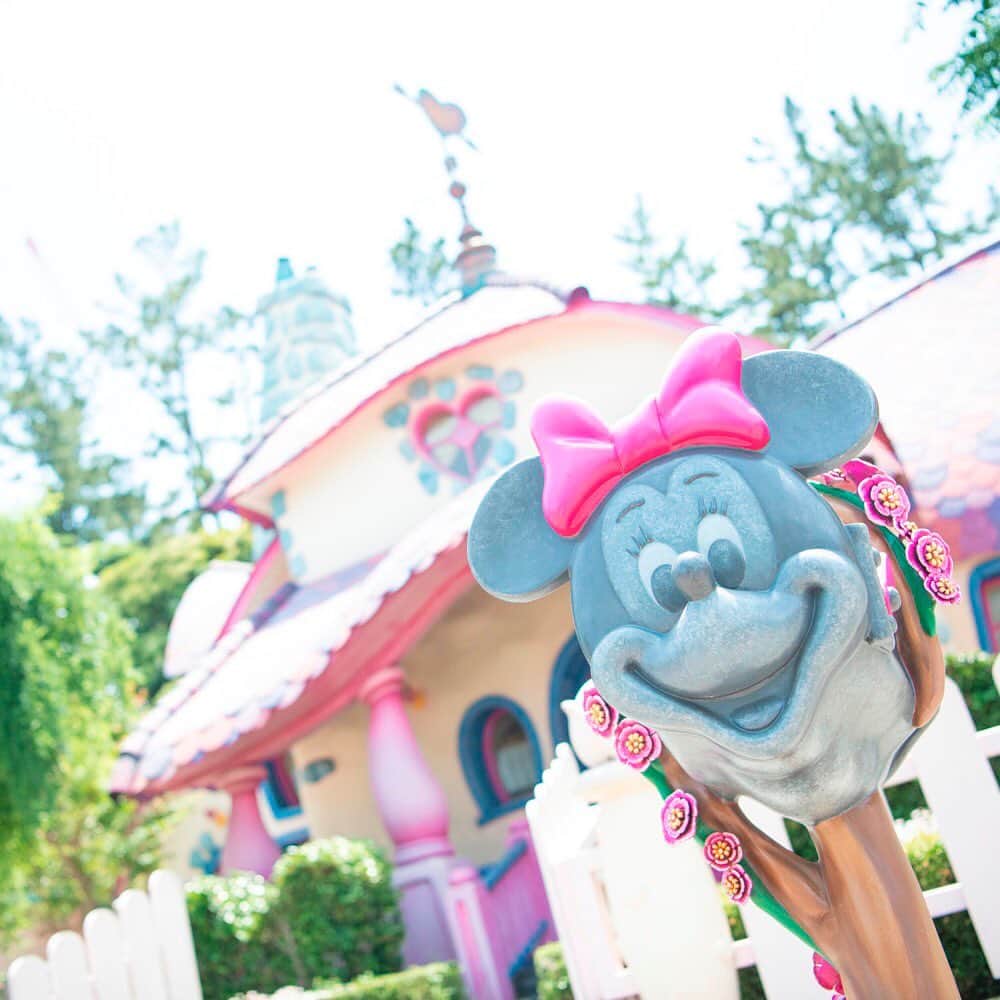東京ディズニーリゾートのインスタグラム