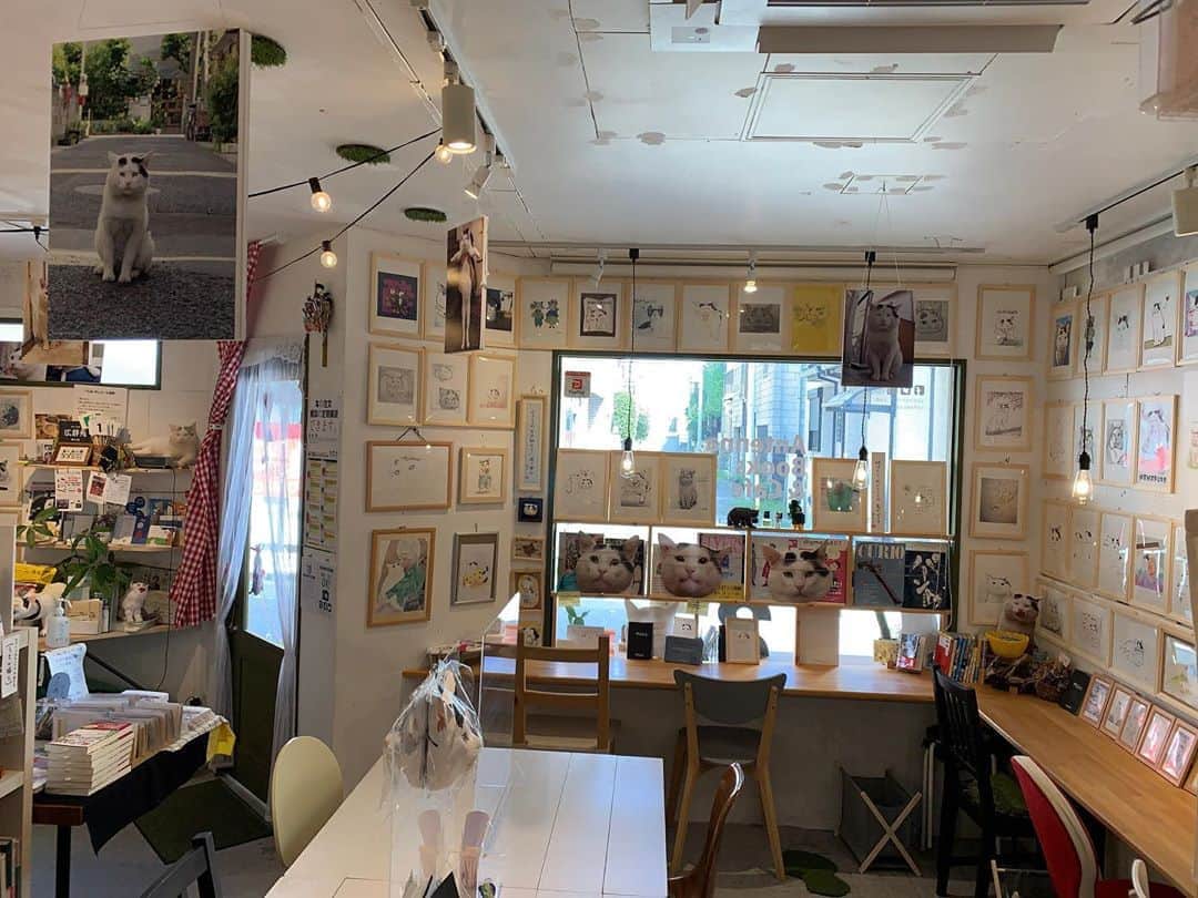 Kachimo Yoshimatsuのグルメインスタ