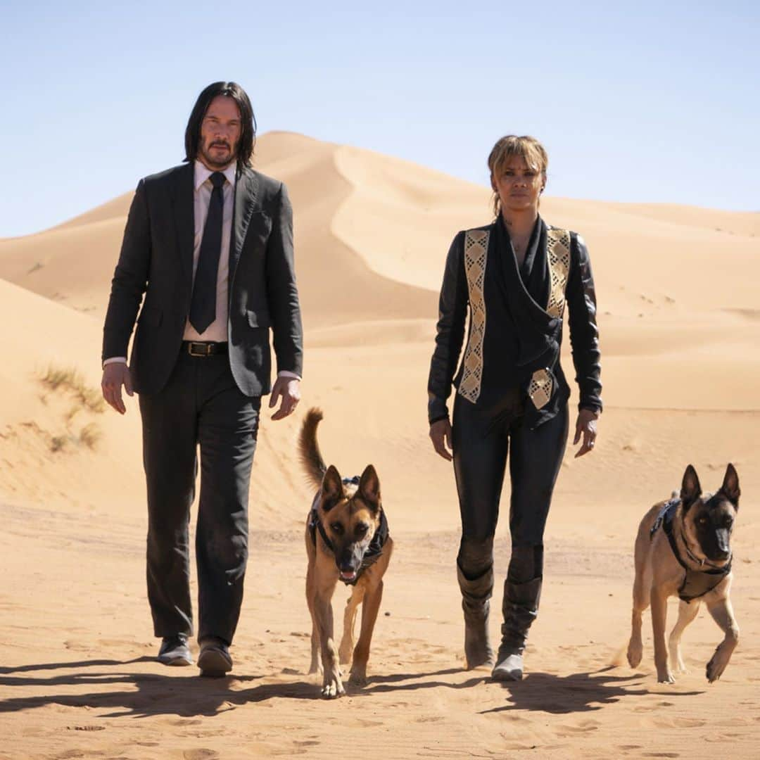 アカデミー賞さんのインスタグラム写真 - (アカデミー賞Instagram)「🎥 Keanu Reeves, Halle Berry and two very good dogs on set of "John Wick: Chapter 3 - Parabellum."  “Keanu told me, when I first started, ‘You’re going to work harder than you’ve ever worked, but it’s going to be the most rewarding at the end of the day, I promise you," Berry said. "And he was absolutely right.”」9月3日 1時10分 - theacademy