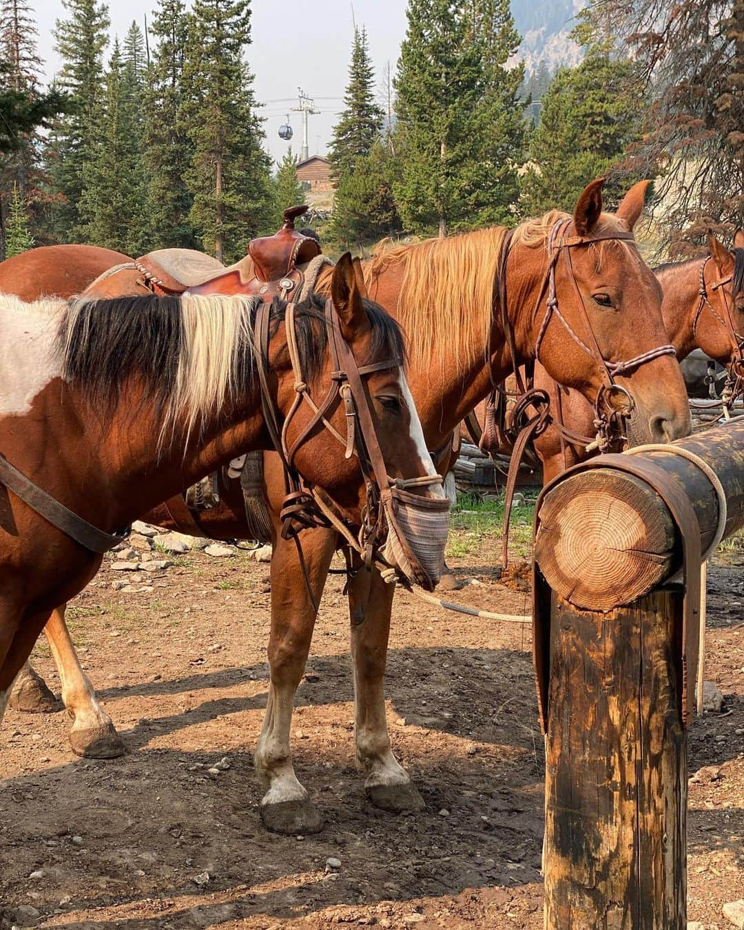 カロリナ・クルコヴァさんのインスタグラム写真 - (カロリナ・クルコヴァInstagram)「An end of summer trip to MONTANA. Loved spending time in the great outdoors with my boys! Horseback riding, off roading and fly fishing were just a few of the highlights. Montana is beautiful! Have you been? 🎣🌲🐴 Thank you @pattijeanb for hosting us👍🏻👌🏻  *more on stories #familyvacation #family #boymom #montana #thegreatoutdoors」9月2日 23時43分 - karolinakurkova