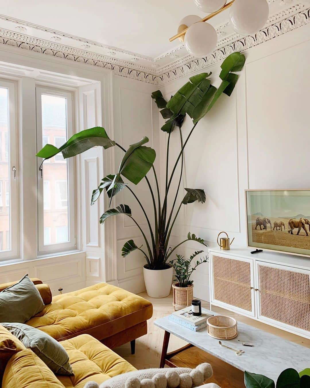 MT DOMAINEさんのインスタグラム写真 - (MT DOMAINEInstagram)「Plant goals 🌿 and living room and apartment goals too 🤩 📸: @kate.lavie」9月2日 23時36分 - mydomaine