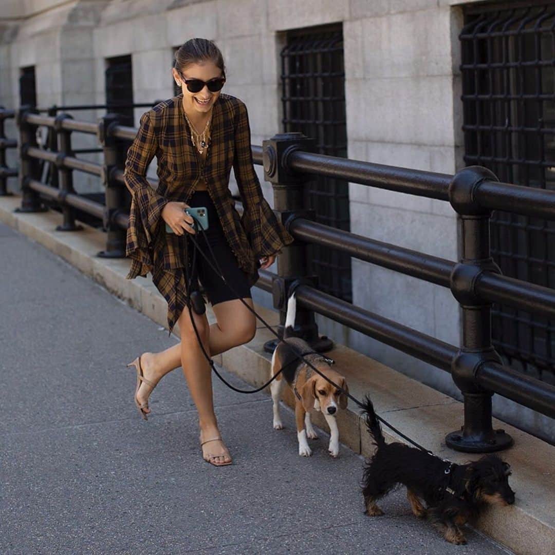 ルル フロストのインスタグラム：「Spotted: @jennymwalton (plus her pups!) in Plaza. #lulufrost」