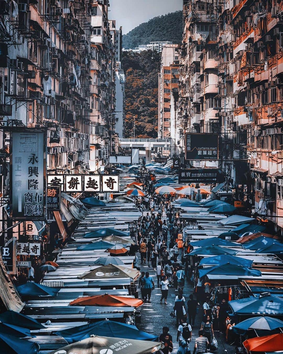 HAYAMI HANNAH ハナさん ど田舎のインスタグラム：「🇭🇰Mong Kok  Fa Yuen Street 花園街     #hayamihannah  #Picsofhk #香港 #Sonyimagegallery  #discoverhongkong #instameethk⁠ #awesomehongkong  #hongkongphotography⁠ #unlimitedhongkong  #exploringhongkong⁠ #hongkongstreets  #hongkongnight  #hkphotography ⁠ #hongkong  #hongkonglifestyle #Hongkonginsta  #hongkongstreetphotography⁠ #visualhongkong  #reframinghk  #travelphotography  #sonyimages #moodygrams⁠  #asianlens #letsguide #アガる香港 #yourshotphotographer  #localiiz  #TheHongKongGuide #urbancreate  #TimeOutHK」