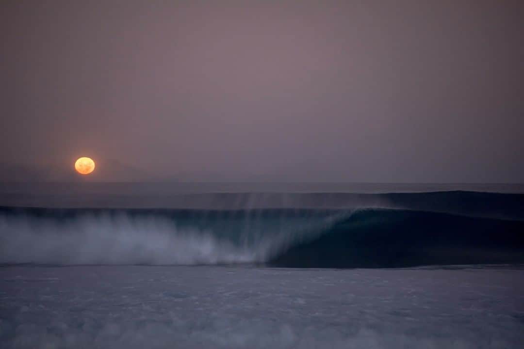 surflineさんのインスタグラム写真 - (surflineInstagram)「Dusk Patrol. 📷: @miahklein」9月3日 0時00分 - surfline