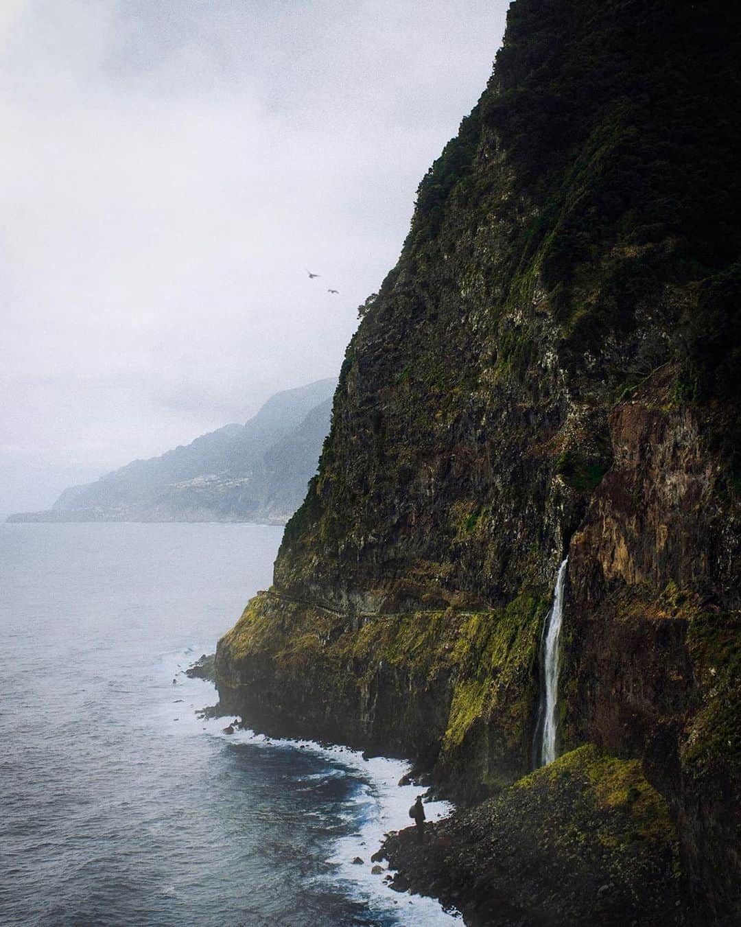 instagoodさんのインスタグラム写真 - (instagoodInstagram)「@shmorten Nature of Madeira has it all🌳 Don’t you agree?」9月3日 0時38分 - instagood