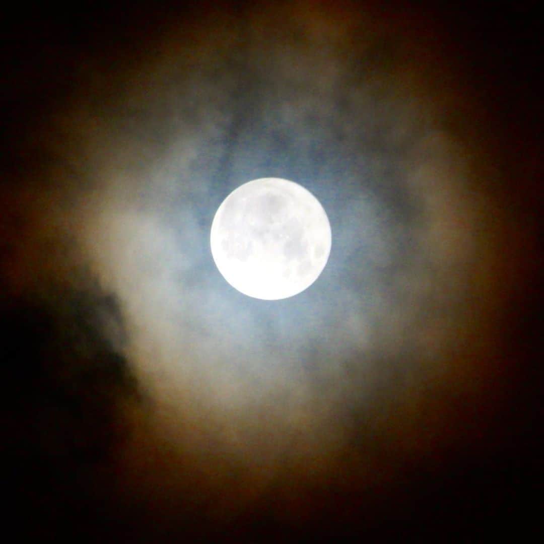 JILLさんのインスタグラム写真 - (JILLInstagram)「ハーベストムーン🌝の満月💕  2枚目の写真のように雲が立ち込める中、今なら見えるかもの勘で窓辺に駆けつけたら、わぁ‼️一瞬、見えました〜HAPPY MOON🙏  ハーベストムーンは、無償の愛を表す月でもあり、多様な環境を受け止める力が高まり、物事を受け入れられるようになると言われています。そして芸術とも深く関りがあり、アートに関する願い事をする良いともされています。  そっか、そっか。 とにかく天気が悪いのであきらめてた満月が見れた👏激写しましたわ📸  雲がHalo〜後光を際立たせ、一瞬だけど無心で美しい光に吸い込まれました。良い夢見れそう👍 #ハーベストムーン #harvestmoon moon #personz #jillpersonz @jillpersonz」9月3日 0時55分 - jillpersonz
