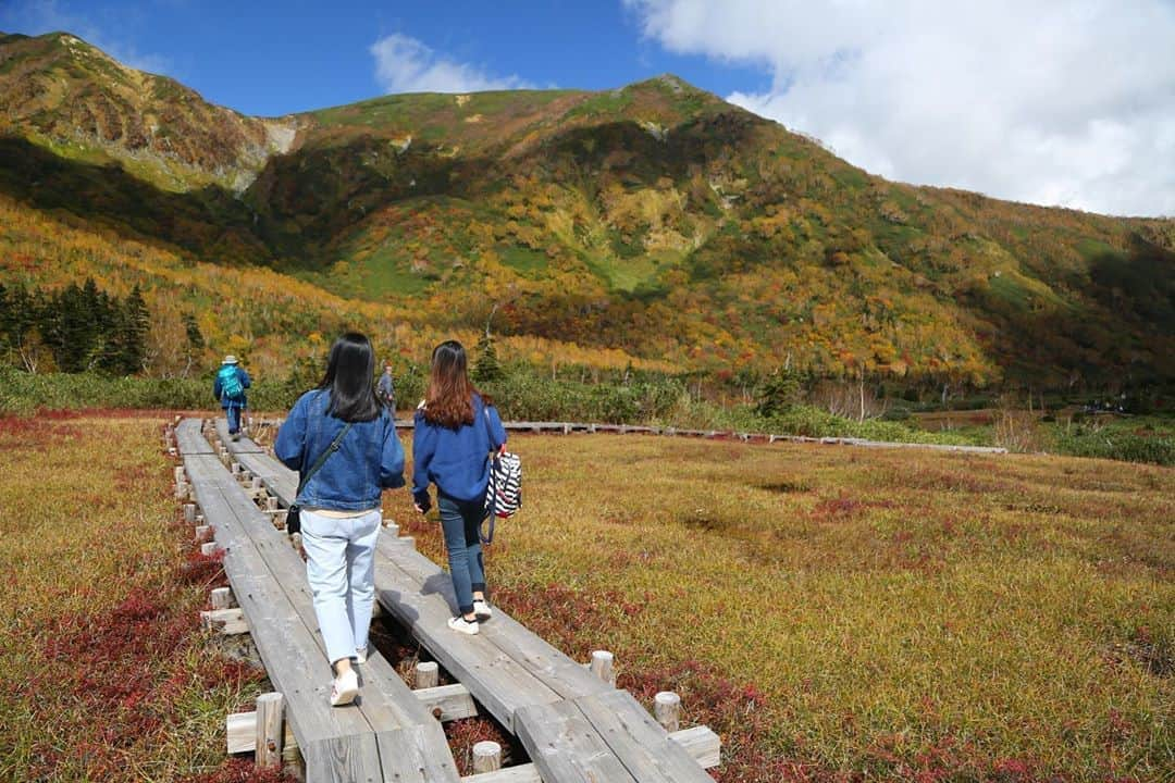 栂池高原スキー場さんのインスタグラム写真 - (栂池高原スキー場Instagram)「登山装備がない方や山道に不慣れで不安な方でも自然園手前のみずばしょう湿原や、わたすげ湿原なら、普段の動きやすい服装、スニーカーで自然園を楽しんで頂けますよ😊 （一番手前のみずばしょう湿原なら小さなお子様やご年配の方、車イスの方も周遊いただけます）  ぜひ足を運んでみてくださいね🍁  #長野観光 #長野旅行 #栂池高原 #栂池自然園 #栂池高原 #湿原 #秋のお出かけ #秋 #秋の風景 #長野のいいところ #長野県 #naganoprefecture #japan #instagram #おでかけ  Posted by Yuko」9月2日 16時27分 - tsugaike_kogen