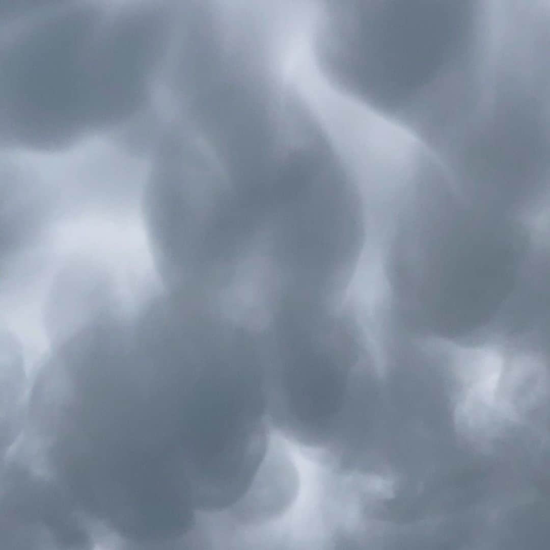 のインスタグラム：「顕微鏡の中にいるみたいな雲！いま！」