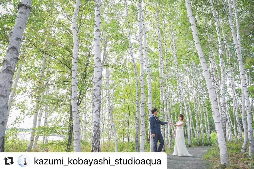 のインスタグラム：「#Repost @kazumi_kobayashi_studioaqua with @make_repost ・・・ . . 北海道といえば、白樺の木🌲✨ · 可愛らしいイングリッシュガーデンの中にある白樺の並木道で、開放感ある写真に✨ · @studiosola_hokkaido  . . ————————————————— Photographer  @kazumi_kobayashi_studioaqua  Hairmake @minae_hairmake_tvb  カメラマン、ヘアメイクのご指名も承っております◎ ————————————————— .  #スタジオアクア表参道渋谷店 #日本中のプレ花嫁さんと繋がりたい #プレ花嫁 #東京カメラ部 #チェリフォト #スタジオアクア #ウェディングフォト #ヘアスタイル #前撮り #結婚式 #卒花嫁 #ロケーションフォト #ウェディングニュース #結婚式準備 #ウェディングフォトグラファー   #marryxoxo #hairmake #d_weddingphoto #igersjp #和装ヘア #花嫁準備 #teamJP #ig_wedding #prewedding#撮る結婚式 #おしゃれ花嫁 #プレ花嫁2020 #プレ花嫁準備  #北海道」