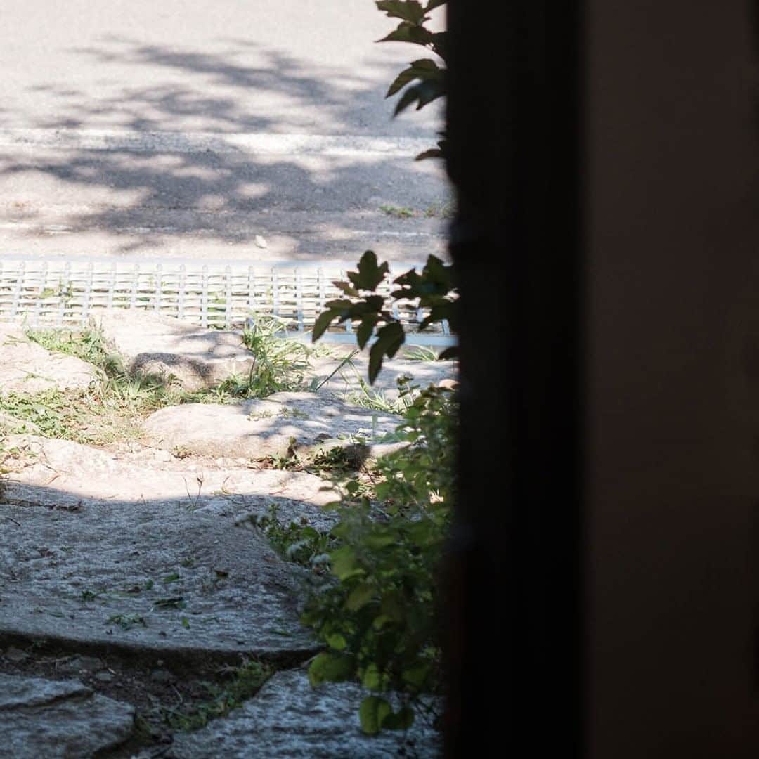 ヒラハルのグルメインスタ