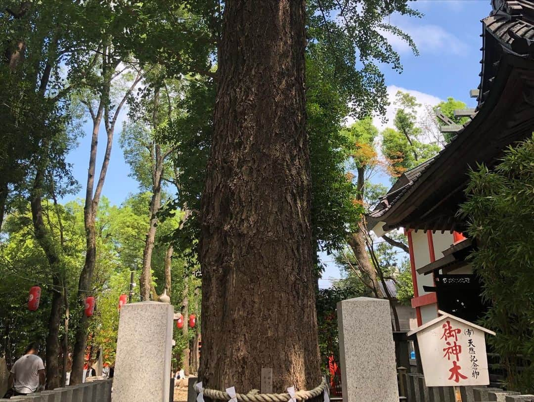 鷹木信悟さんのインスタグラム写真 - (鷹木信悟Instagram)「天赦日の今日は‬ ‪西東京市にある‬ ‪田無神社へ...🙏⛩🐉🐉🐉🐉🐉 充電完了✨ ‪#田無神社‬ ‪#修行‬ ‪#prowrestler ‬」9月2日 17時32分 - takagi__shingo