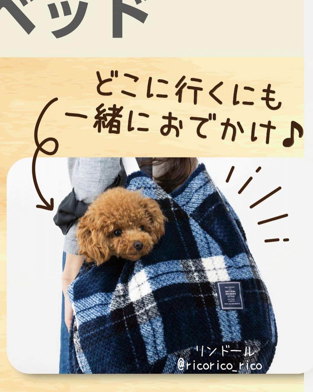 ベルのインスタグラム