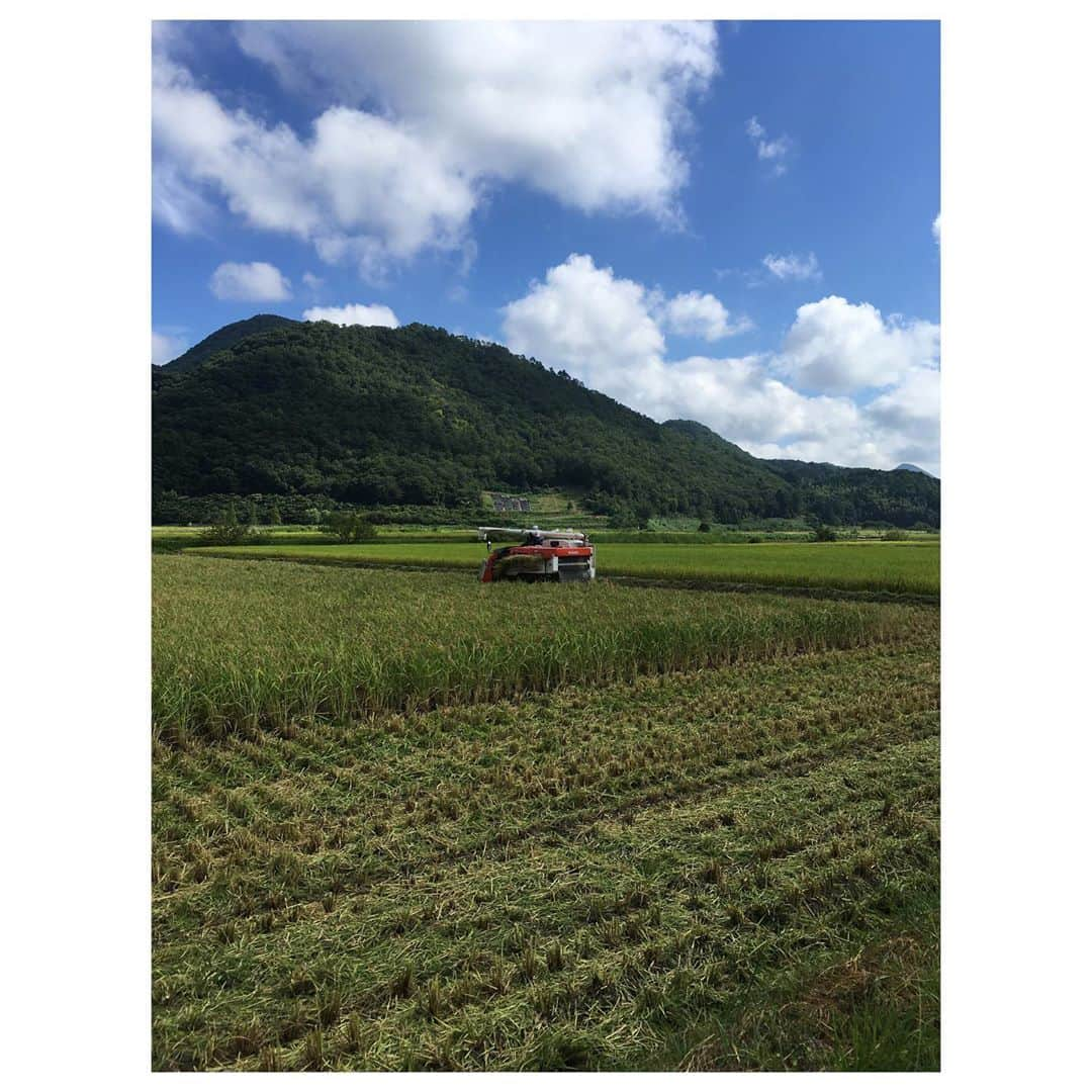 白鶴酒造株式会社のインスタグラム