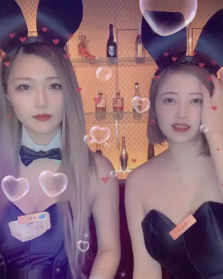 れもんのインスタグラム：「． こんばんは！今日わたしはお休みですが 6時から最強メンツ揃ってるらしいんで ぜひ飲みきてください〜〜〜 わたしの大好きなかわいくておもしろいバニーちゃんたちです❤️」