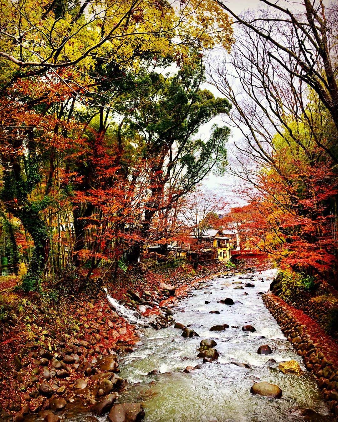 井咲アキのインスタグラム：「🍁 皆様にお知らせがあります！🙇‍♀️ 本日をもって、モデル事務所 プレステージを退所致しました。 19歳の時からずっとお世話になっていた 事務所を退所することは、とても勇気がいりました。 たくさんご迷惑をかけてきたけれど、 それでも受け入れ支えてきてくださった マネージャーさんたちには感謝の気持ちでいっぱいです。 安定してあった今までの環境を手離すことは、 心機一転のワクワクもあるけれど、 正直、とても怖いです。すごく怖い。 ○ でも、2020年9月2日から先の未来、 いいことばかりが起こる気がしています☺️✨ "良いことが起こる！✨"って思いながら、 毎日を過ごしていたら、 本当に良いことが起こりそう😊🌸 前を向こう！！☺️✨私なら大丈夫！！🌟🌟 ○ 改めて、プレステージのマネージャーの皆様、 所属モデルの皆様、お世話になりました！🙇‍♀️✨ 移籍先はまだ決まっていませんが、またお仕事や オーディションでお会いした時は、 よろしくお願い致します😌 -井咲アキ- ・ ・ ・ #9月#秋#心機一転#決意表明#楽しみ#不安 #前向きに生きよう#この先良いことしかない #紅葉#秋の川#日本の景色#日本#美しい景色　 #autumn#happylife#lifeisgood#model #positivethinking#river#japan#view#beautifulview」