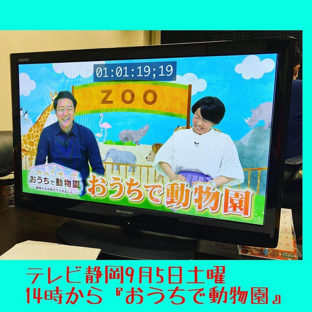 富士川碧砂さんのインスタグラム写真 - (富士川碧砂Instagram)「テレビ静岡 「おうちで動物園」 ナレーションの収録でした。  放送は、9月5日土曜日 14時から！  動物たちのかわいさに 癒されますよー！  動物たちから学ぶ生きるヒントを動物おじさんが解説！  笑って、学んで、 ウルウルする番組です！ 見てくださいね！  #テレビ静岡  #おうちで動物園 #寺瀬今日子 #ナレーター #富士川碧砂 #占い師」9月2日 18時27分 - fujikawamisa