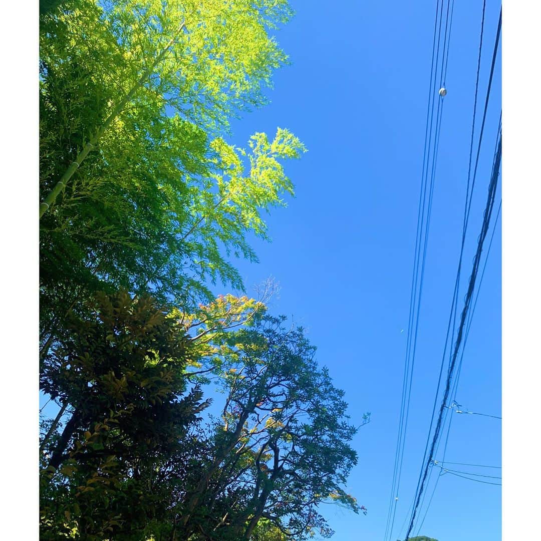 板野友美さんのインスタグラム写真 - (板野友美Instagram)「まりまりさんと夏の思ひ出🌻  この日は、とっても綺麗な青空で いろんなものが浄化されました🌞  青空と、樹々の癒しのグリーンを 皆さまにもお届け🍃  #夏の思ひ出 #夏休み #友の日常 #友Style #鎌倉」9月2日 18時51分 - tomo.i_0703