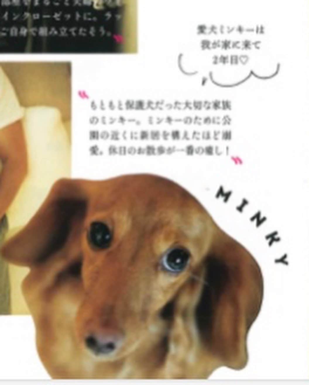 加藤章太郎さんのインスタグラム写真 - (加藤章太郎Instagram)「STORY 10月号 w/wife,dog at home @story_love40  #story #magazine #familyphoto #myhouse #renovation」9月2日 19時09分 - __shotaro__