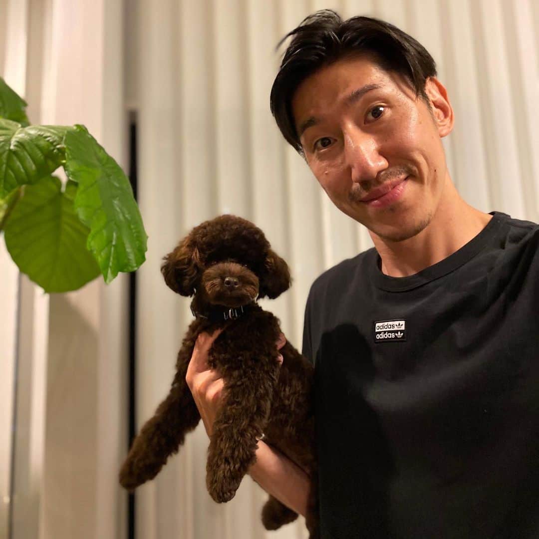 網野友雄のインスタグラム：「サニーも髪切りました！ #トイプードル #サニー」