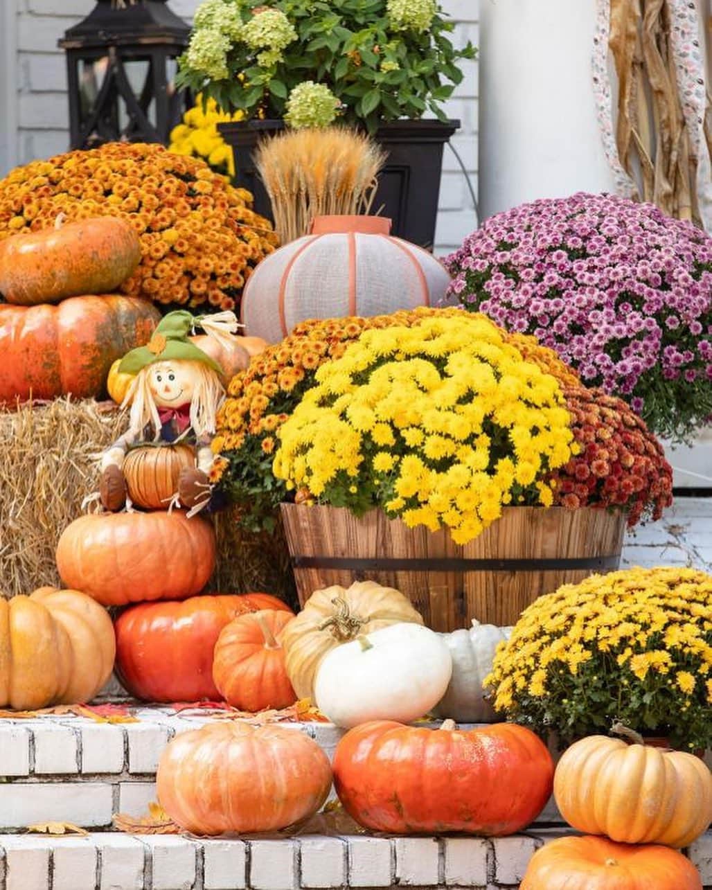 HGTVさんのインスタグラム写真 - (HGTVInstagram)「Set the stage for a picture-perfect fall with our favorite ways to deploy pumpkins as decor. 🍂 We found 30 chic, crafty and creative ways to decorate with pumpkins, and you can find each and every one of them at the link in our profile. 🔝 🎃⁠⠀ ⁠⠀ #fall #autumn #pumpkins #decorativegourdseason⁠⠀」9月3日 1時18分 - hgtv