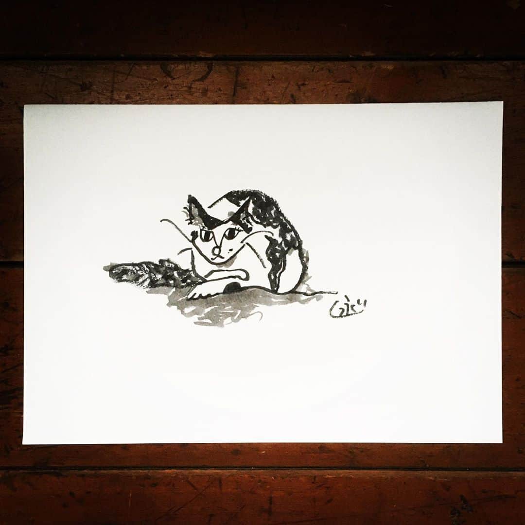 ナガイケジョーさんのインスタグラム写真 - (ナガイケジョーInstagram)「新入り“左ボクロのおりん”が来て一週間。模様がユニークなので、つい描きたくなります。 #猫 #cat #筆ペン」9月2日 20時30分 - joenagaike
