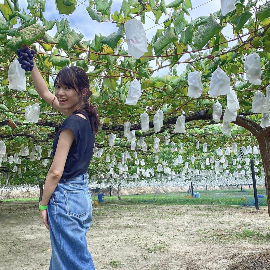 渡辺安里のインスタグラム：「あっという間の９月🌾  皆さんお元気ですか？？ 私は元気です😊  たくさんメッセージくださった方がいるので一応お伝えします✨ 私、渡辺安里と申します。  なだぎ武さんの奥さまの渡邉安理さんではありません。 でも、検索してたどり着いて、メッセージやフォローしてくださった方ありがとうございます😂  お会いした事ないお二人ですが、お幸せに❤️  #9月#september#なだぎ武#渡邉安理#すみません#渡辺安里#と申します #紛らわしくてすみません #名古屋#名古屋モデル#モデル#巨峰#巨峰狩り#ぶどう#葡萄#好物#人のいない場所 #japan#model#nagoya」