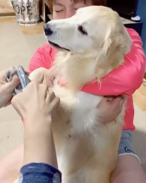 まゆみのインスタグラム