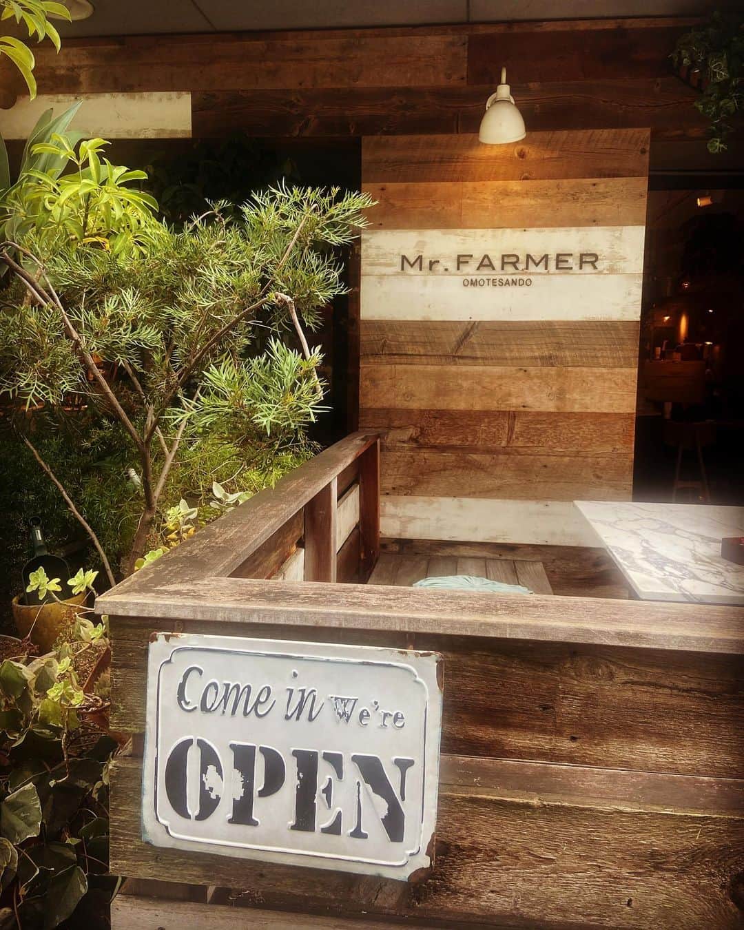 柴真緒のグルメインスタ