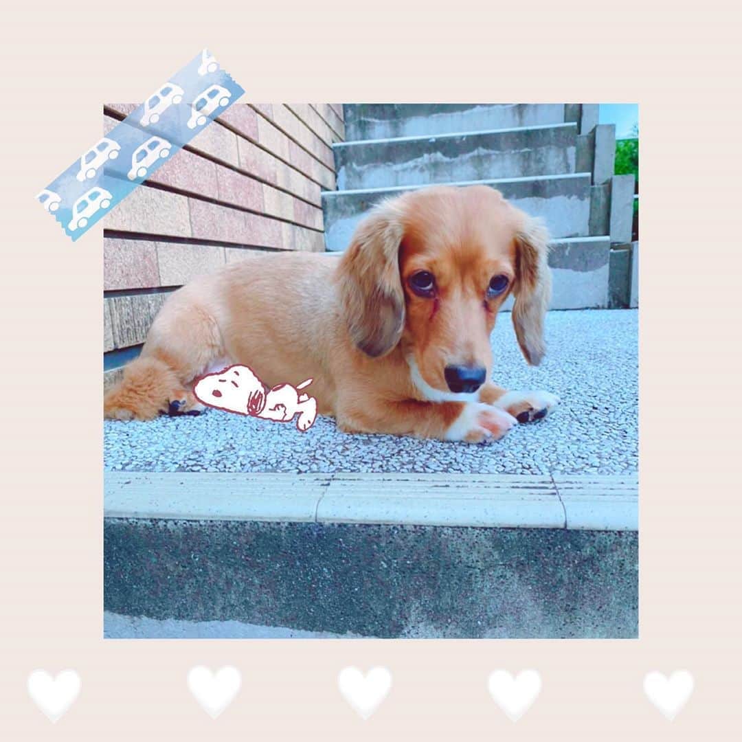 井坂仁美のインスタグラム