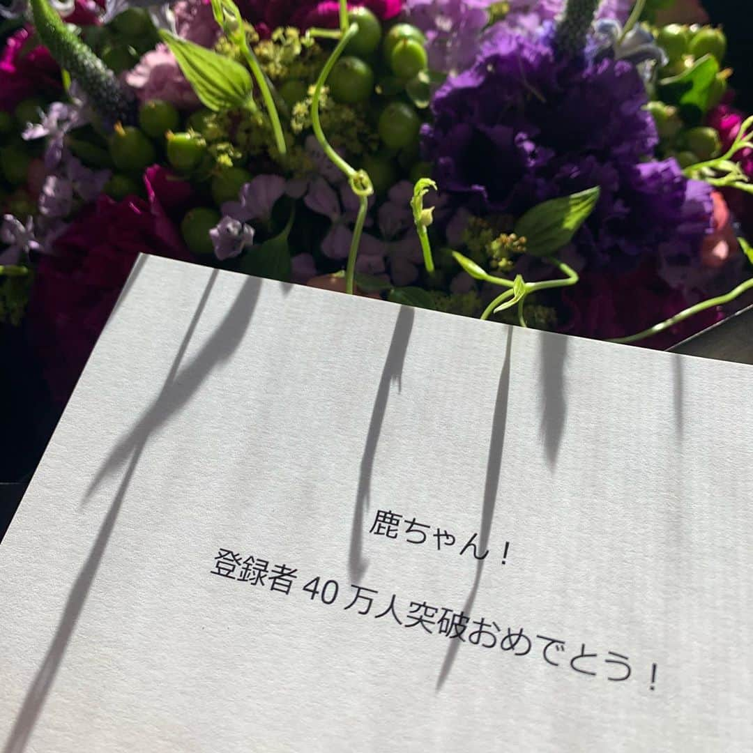 鹿の間さんのインスタグラム写真 - (鹿の間Instagram)「事務所から40万人突破のお花が届きました🌷小さなお花がギュッと１束になり小さな大陸みたいで何だかパワーが凄いです！！朝お花を見て香りに癒され始まる１日が幸せです(*´꒳`*)ありがとうございます♡年内50万人を目指して頑張ります✨ #花束 #ニキビ #前髪を鏡見らず適当に切ったらガッタガタになりました #当たり前」9月2日 22時32分 - rhodon41