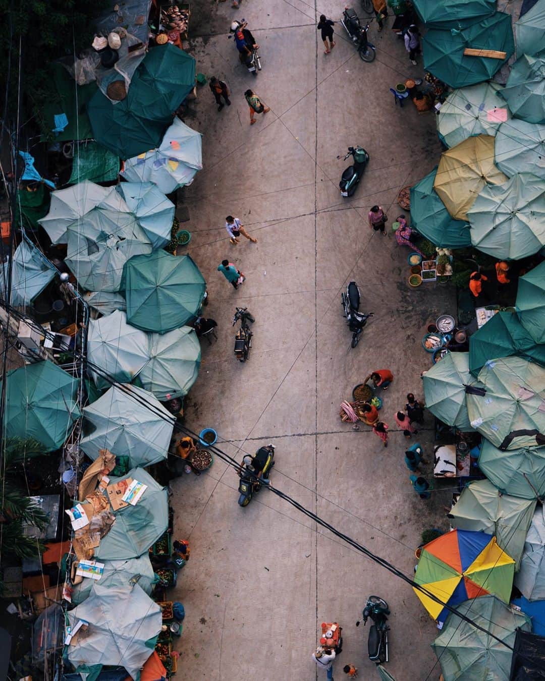 Shunsuke Miyatakeのインスタグラム：「Coral reef on the street, Phnom Penh, Cambodia」