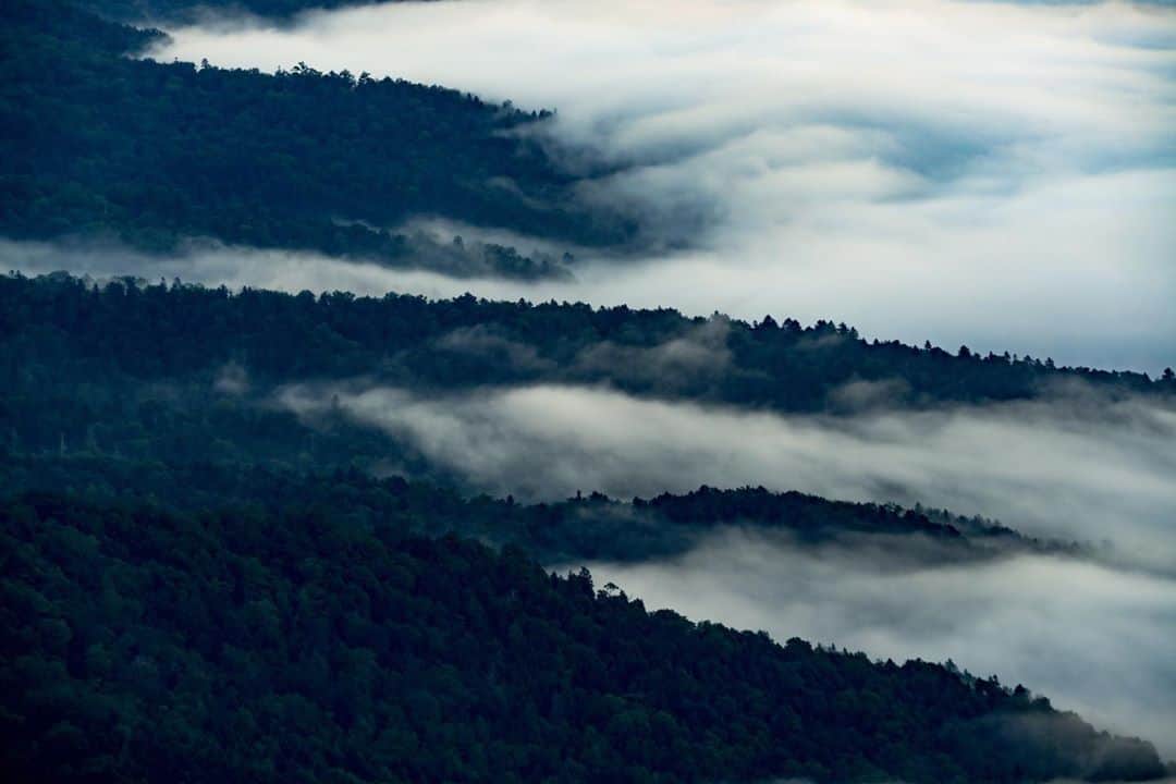 Hikaruのインスタグラム：「Sea of cloud. . . はじめての雲海。 綺麗でした。 打率は3割。 まずまずです。 . .  #DiscoverwithAlpha #japan_lLC #A7RM4 #FE100400 #北海道 #instagram #東京カメラ部 #tokyocameraclub #natgeo #bealpha #sonyphotography #pashadelic #bestjapanpics #ig_japan #natgeoyourshot #yourshotphotographer #naturephotography #ig_worldclub #1x #landscapephotomag #landscapelovers #lovers_nippon #visitjapanjp #bbctravel #art_of_japan #splendid_earth #日本の絶景 #ig_great_pics #BBCtravel #ig_worldclub」
