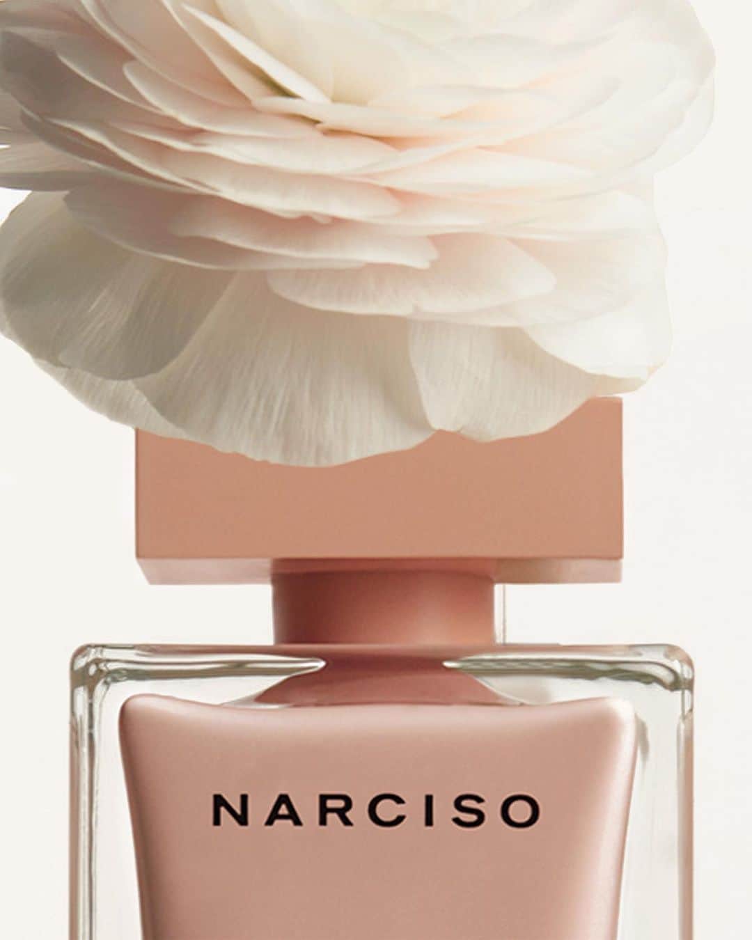 ナルシソロドリゲスさんのインスタグラム写真 - (ナルシソロドリゲスInstagram)「NARCISO eau de parfum poudrée: a veil of delicate seduction. #poudree #narcisopoudree #narcisorodriguezparfums #parfum #fragance」9月2日 23時03分 - narciso_rodriguez