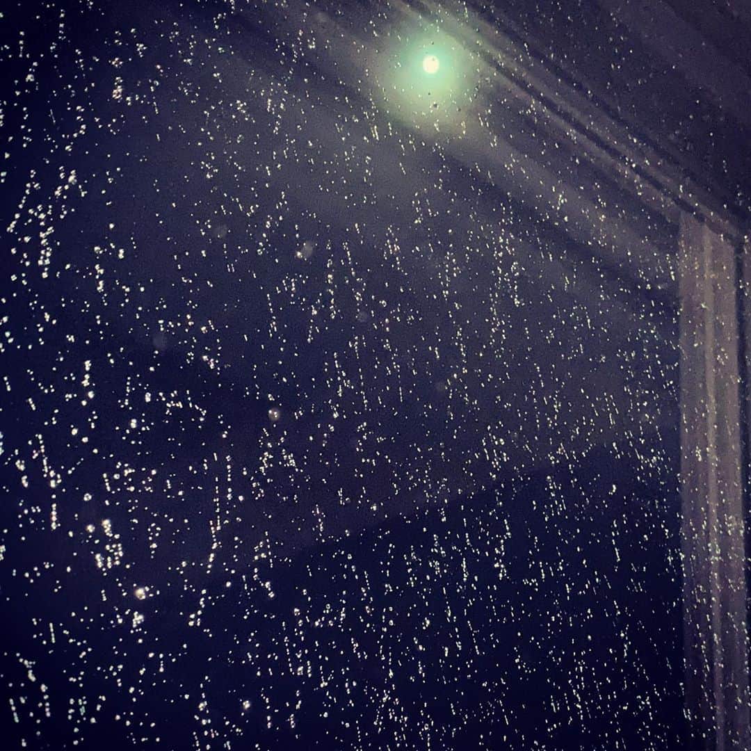 のインスタグラム：「見上げてごらん 夜の星を 小さな星の 小さな光が ささやかな幸せをうたってる  見上げてごらん 夜の星を 僕らのように 名もない星が ささやかな幸せを祈ってる  手をつなごう ぼくと おいかけよう 夢を  二人なら苦しくなんかないさ  見上げてごらん 夜の星を 小さな星の  #9月のはじまり #満月の下で #うたってれば笑ってた #🌕  お財布ふりました。 ありがとうをたくさん伝えながら。  出てきてくれた満月に、 一番感謝しNight。  #ぐんもです #😊」