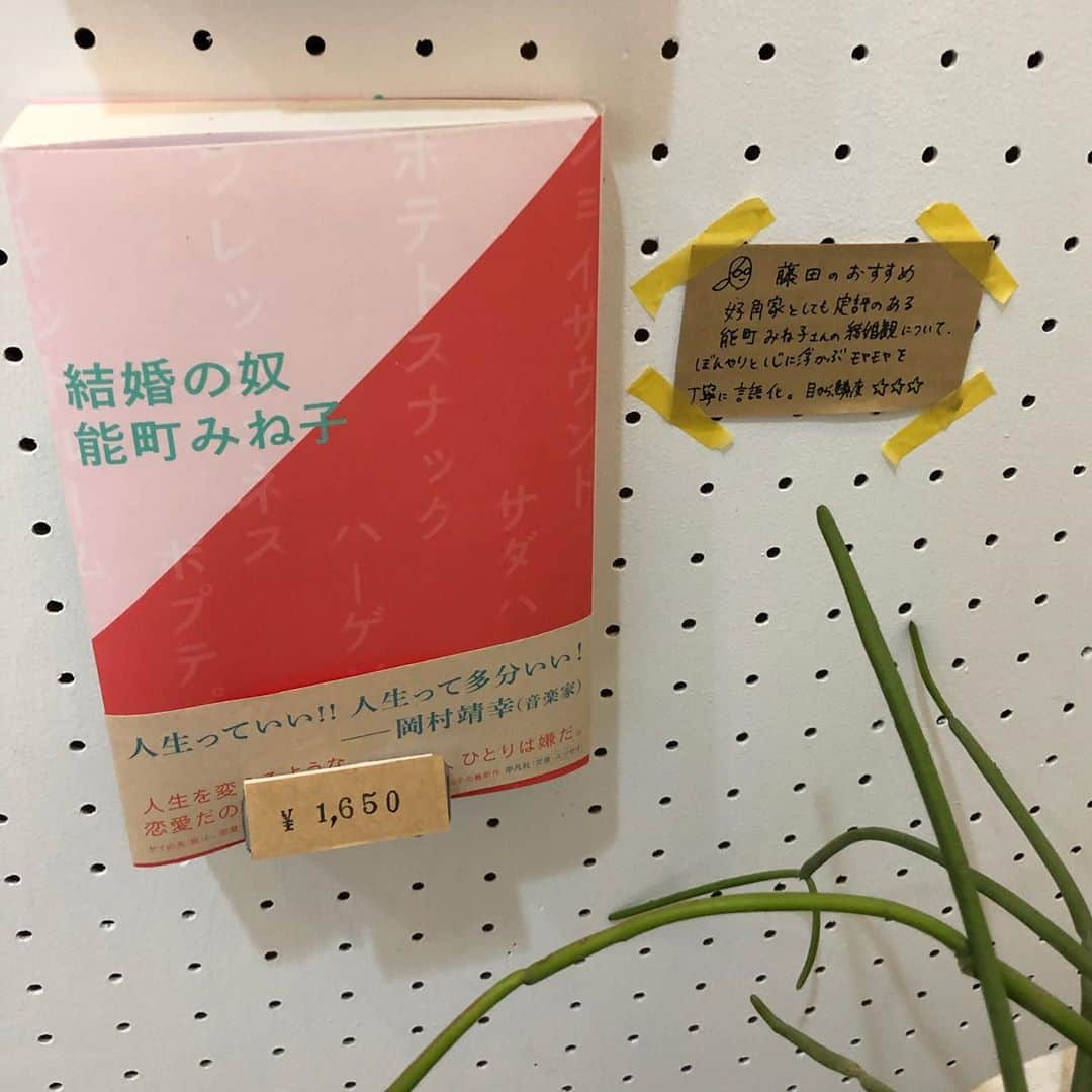 能町みね子さんのインスタグラム写真 - (能町みね子Instagram)「函館の箱バル不動産 @hakobarfudosan というところを通りかかったら窓越しに見覚えのある本が……。こんなことまずないんですよ。函館に愛されてる。本屋さんと提携して、社員さんのお勧めの本を売ってるんだって。うれしいかぎりです。高橋ユキさんの本も岩井さんの本もあるし、最高の並びです。」9月3日 9時54分 - nmcmnc