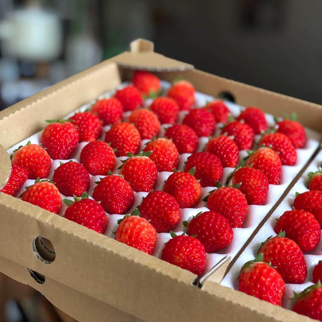 リスカフェのグルメインスタ