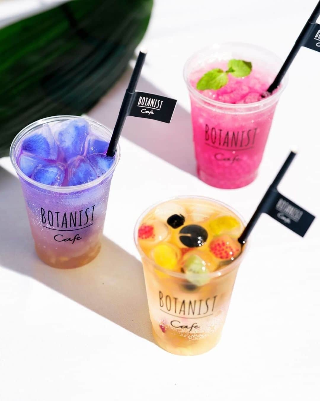 BOTANIST GLOBALさんのインスタグラム写真 - (BOTANIST GLOBALInstagram)「A must for all you beauty lovers and health-conscious folks out there! 👀💡💡 Have you tried the #LimitedMenu until Friday, September 4? Introducing our photogenic 📸 and refreshing drink! ⠀⠀⠀ ☀️Pink [Botanical Soda Red Shiso and Tapioca] Shiso is rich in beta-carotene, which is a high antioxidant and whitening agent😊. The refreshing sourness is addictive and the small tapioca fills your stomach! ⠀⠀⠀ ☀️Blue [Botanical Soda Aloe & Pineapple] Aloe is rich in aloesin 🌵 which takes care of UV damage. Pouring pineapple soda changes the color of the butterfly pea tea 😳. Enjoy the texture of the aloe pulp ⭐️. ⠀⠀⠀ ☀️ Yellow [Tea Soda with Marble Jelly Pomegranate and Peach] Pomegranates are rich in anti-aging polyphenols ✨ Fruit in jelly and peach jelly and Earl Grey tea bring out the perfect sweetness of the fruit. ⠀⠀⠀ All of these are available to-go! Please enjoy our relaxing space and forget about the heat wave. ⠀⠀⠀ If you have any concerns about your health on the day of your visit, please take a moment to review your condition and enjoy our services in the best possible condition. 	 Stay tuned for our new vegan menu from September 5th!  Stay Simple. Live Simple. #BOTANIST ⠀ ⠀ 🛀@botanist_official 🗼@botanist_tokyo 🇨🇳@botanist_chinese」9月3日 10時12分 - botanist_global