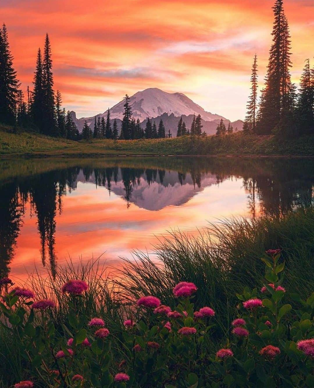 Earth Picsさんのインスタグラム写真 - (Earth PicsInstagram)「Mount Rainier National Park. Photo by @neohumanity  . . .  Tags: #mtrainier #nature #nationalpark #adventure #explore #explorewashington #pnwonderland #washington #seattle #washingtonexplored #optoutside #photooftheday #pnw #thatpnwlife #thegreatpnw #travel #hiking #cascadiaexplored #washingtonstate #pnwcollective #mountrainier #pacificnorthwest #upperleftusa #wildernessculture #pnwisbeautiful #pnwlife #mountains #getoutside #pnwdiscovered」9月3日 10時05分 - earthpix