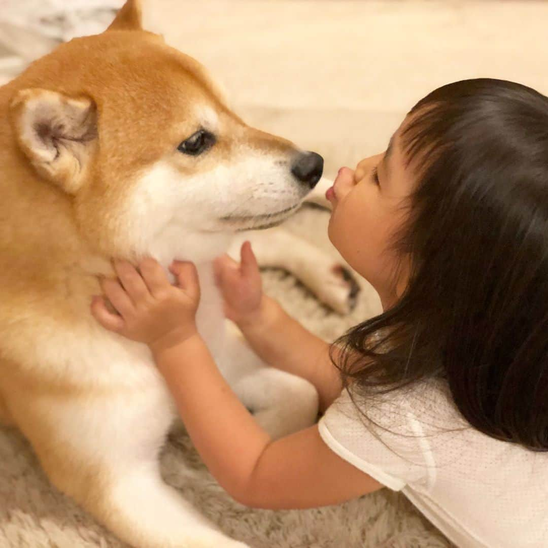 せんべえさんのインスタグラム写真 - (せんべえInstagram)「😘 #せんべえ #柴犬 #shibainu  #kiss #犬と子ども #まるいーず」9月3日 10時14分 - akiresh