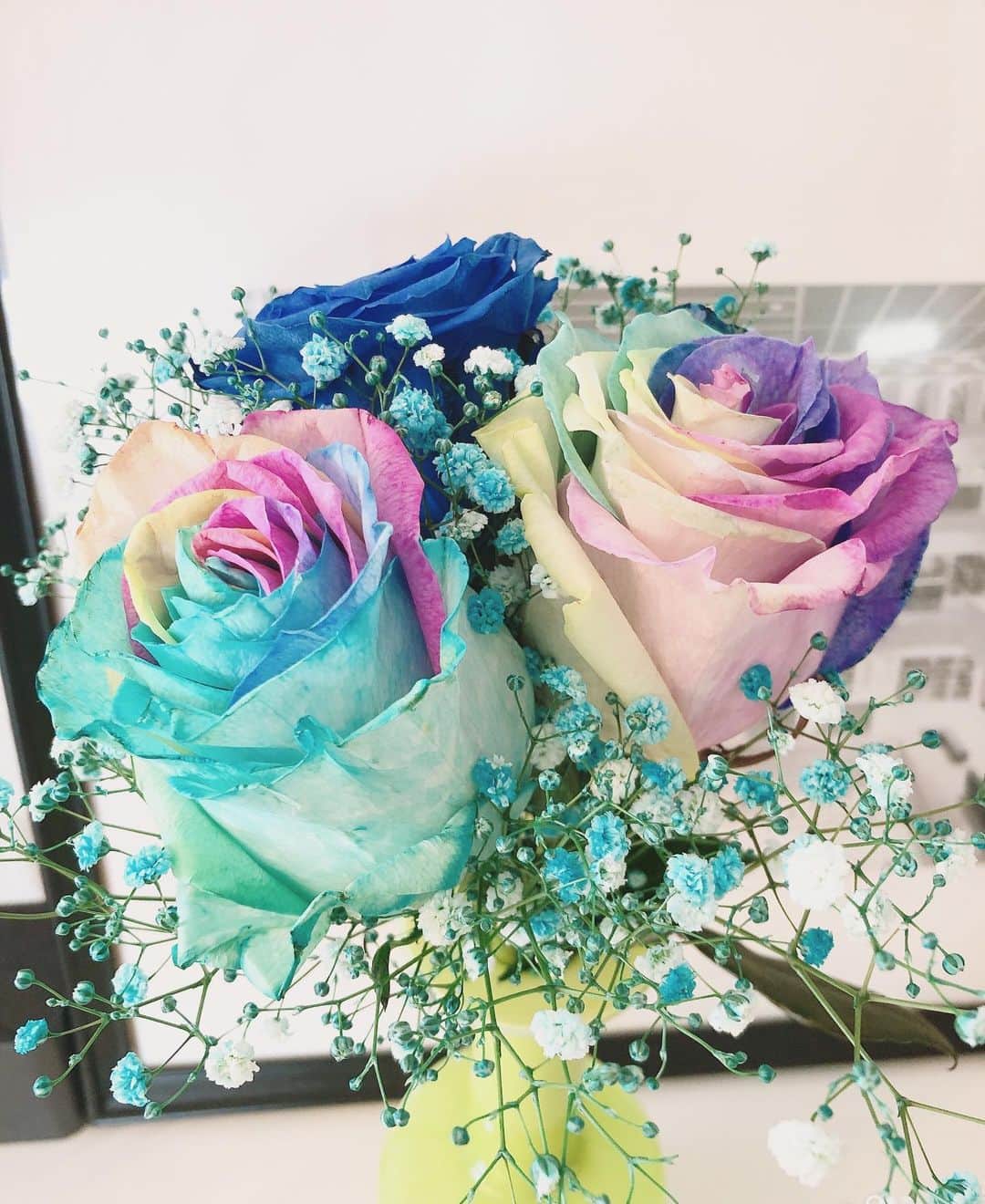 那須久美子のインスタグラム：「レインボーローズ🌈🥀  お客様より華ちゃんへ💕と頂きました✨  とっても大きくて綺麗💕  お気遣いありがとうございます😊💕  「わぁ💕とってもきれいなおはなー💕」  と喜んでいました🤣💕  #レインボーローズ　#🥀 #れなちゃんありがとう  #またベビちゃん連れてきて👶」
