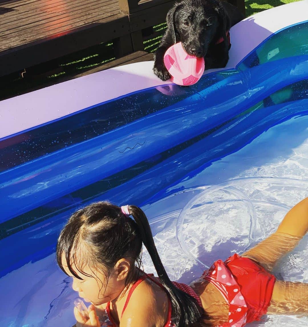 藤井惠さんのインスタグラム写真 - (藤井惠Instagram)「プールもいっぱい入りました☺️  #夏 #2020 #娘 #4才2ケ月」9月3日 1時20分 - megumi_fujii