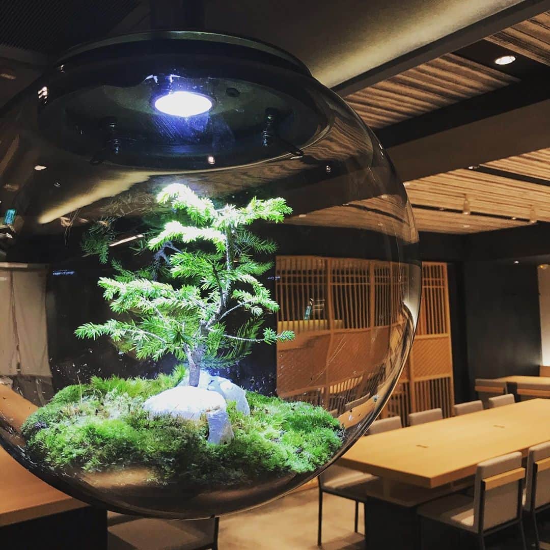 安藤成子のインスタグラム：「明日はついにプレオープン✨ ・ あーオープン前の緊張感と高揚感がたまらないw」
