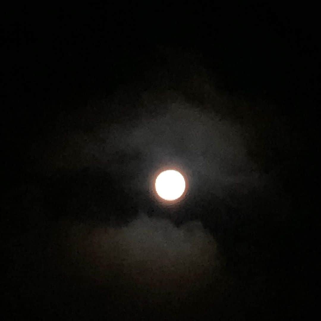 福井晶一さんのインスタグラム写真 - (福井晶一Instagram)「満月らしいね！  #空を見上げよう #ハーベストムーン #満月」9月3日 1時48分 - shoichi.fukui