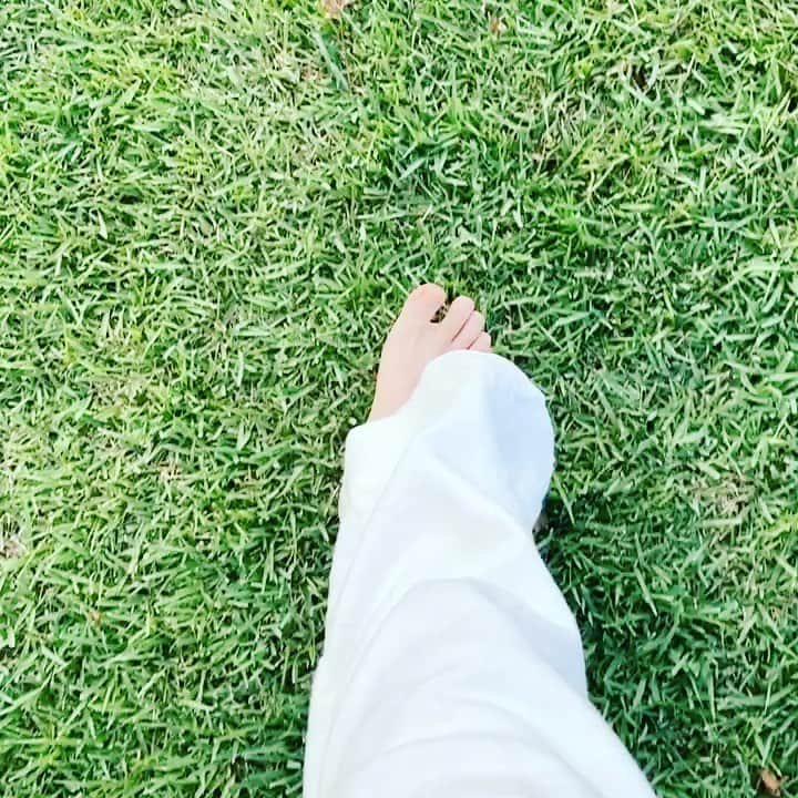 森永理科のインスタグラム：「心が荒むことはたまにはあるさー そんな時には光と緑とで整えるのさー  新宿御苑は芝生が気持ち良いんだよ。」