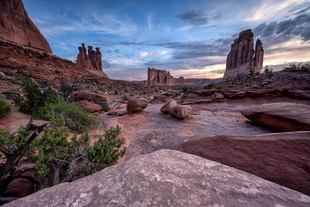 アンジー・ペインさんのインスタグラム写真 - (アンジー・ペインInstagram)「Scenes from a solo sunrise mission. This was back in late June in Arches National Park, and despite being just a few hundred feet from the main park road, I spent more than an hour alone on a popular trail before seeing another person. I have a deep appreciation for the people and relationships in my life and work, but at heart I’m a true introvert, and mornings like these are invaluable for recharging. Shot during a project for @visitutah.  • • • #macro #macrophotography #landscape #landscapephotography」9月3日 2時30分 - angelajpayne