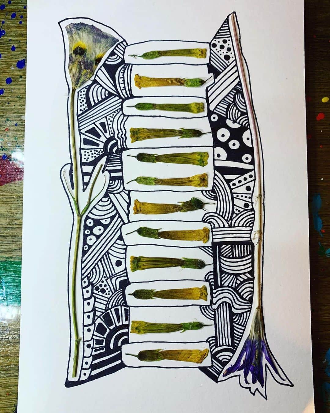 ロージー・オドネルさんのインスタグラム写真 - (ロージー・オドネルInstagram)「pressed flower doodle #doodle #pressedFlowers #art #saveamerica #artHEALS」9月3日 4時07分 - rosie