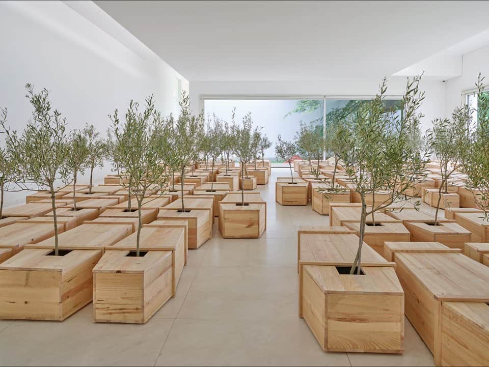 オノ・ヨーコさんのインスタグラム写真 - (オノ・ヨーコInstagram)「Installation views, Yoko Ono: The Learning Garden of Freedom, Serralves Museum of Contemporary Art, Porto @fundacao_serralves on view May 30 - November 15, 2020 ﻿ ﻿Works listed in order: ﻿ ﻿1) EN TRANCE, 1990/2020 ﻿2) TO SEE THE SKY, 2015 ﻿3) PEACE is POWER, 2017/2020 ﻿4) EX IT, 1997/2020 ﻿5) ADD COLOR (REFUGEE BOAT), 1960/2016-2020 ﻿6) WISH PIECE, 1973/2020 ﻿7) Multiple works in view ﻿8) OPEN WINDOW, 1998/2020 ﻿ ﻿Photos: © Filipe Braga ﻿」9月3日 5時00分 - yokoono