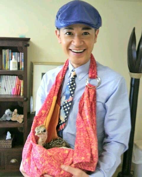 山咲トオルさんのインスタグラム写真 - (山咲トオルInstagram)「ガチで、ダチョウさんの卵を孵化。  こちら、いつだったかしら(？)動物モノの番組内で。 (真似出来ないと言いますか、真似をしないで下さいね)  実際は。 私、ディレクターさん、ADさんの３人で孵化に挑戦。  わたし的な条件は、卵ひとつだけ。 ダミーの卵を数個準備とかはNG(倫理的に許せなくてね)  で、かな～りドタバタしましたが←そこはカットよ。 ３人の力で無事に卵から、かえりました。  １ヶ月だけ、マンションを借り。 孵化の為、室温は36度をキープなので、こたつを。 湿度は30％以下をキープの為、私たち３人は灼熱&乾燥の中、ダウン寸前。  思い入れが強く、この画像は保存したまんまなの。  #山咲トオル #toruyamazaki   ⭐鳥類は、初めて見たものを『親』だと認識すると言われていますが、ダチョウは分かりやすく言いますと恐竜の子孫で。 (足(爪)を思い浮かべて下さい←恐竜の類いよ) 仲間と群れをなす生態ですので、人間による孵化が可能な訳です。  生まれてすぐに、ダチョウ園にお返しに上がりました。 無事に責任を果たせた達成感が強く、涙は一切出ず爽やかな別れでしたよ。  しかし、ダチョウさんって可愛いわ。 指でアゴをナデナデすると眠るのよ。」9月3日 6時20分 - yamazakitoru_official