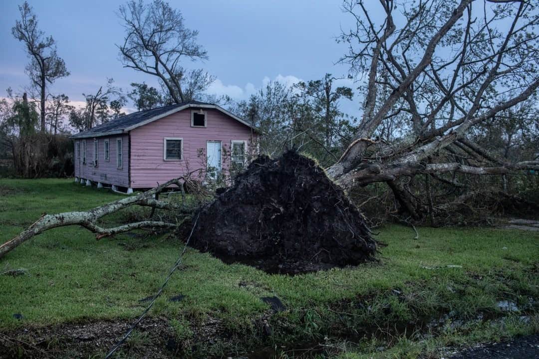 のインスタグラム：「Photo by @erintrieb I This tree was unearthed by Hurricane Laura, which struck land as a Category 4 hurricane in the early hours of August 27, in Mossville, Louisiana. Mossville residents say their homes survived Hurricanes Audrey (1957), Rita (2005), Ike (2008), and Harvey (2017), but many did not survive Laura's 150-mile-an-hour winds, which caused heavy damage to southwestern Louisiana, especially in socioeconomically vulnerable coastal communities. Follow @erintrieb for more human stories from around the globe.」