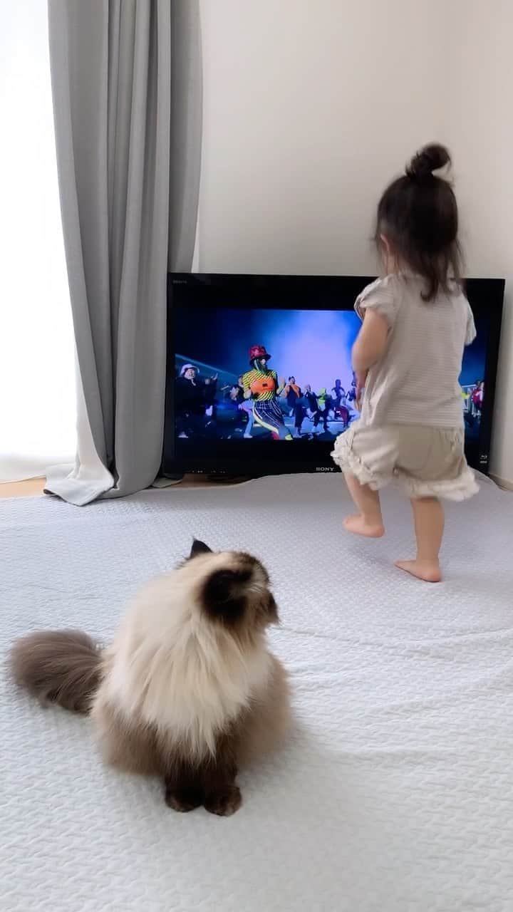 plumeのインスタグラム